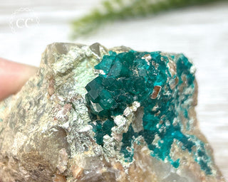 Dioptase Specimen - Namibia #5