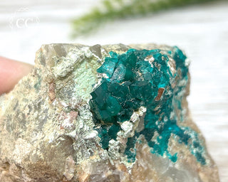 Dioptase Specimen - Namibia #5