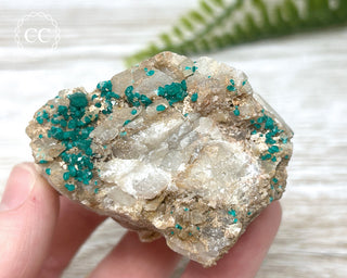 Dioptase Specimen - Namibia #7