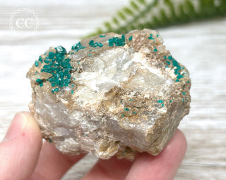 Dioptase Specimen - Namibia #7