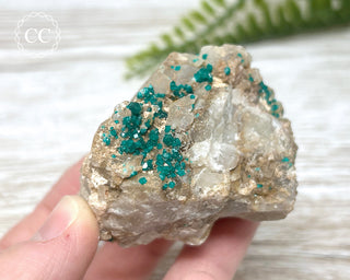 Dioptase Specimen - Namibia #7