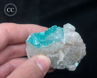 Dioptase in Quartz #2