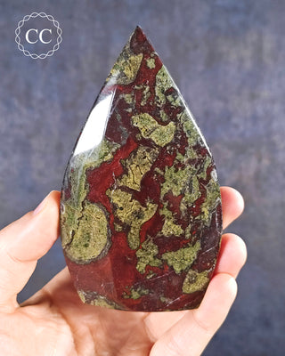A hand holding a Dragons Blood Jasper Freeform 