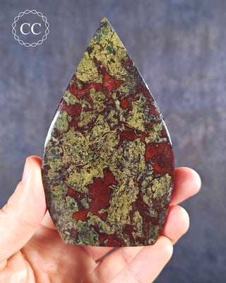 A hand holding a Dragons Blood Jasper Freeform 