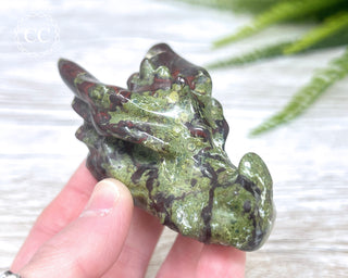 Dragons Blood Jasper Dragon Skull #1
