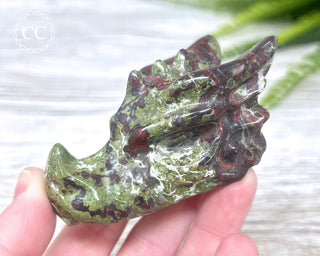 Dragons Blood Jasper Dragon Skull #1