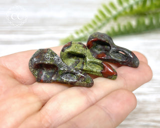 Mini Raven Skull - Dragons Blood Jasper