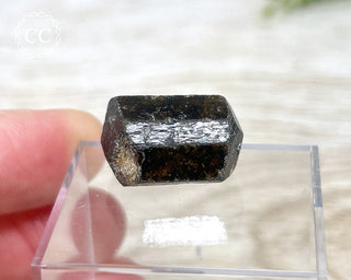 Dravite Tourmaline Crystal #1