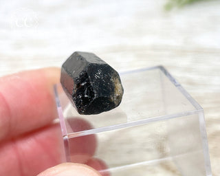 Dravite Tourmaline Crystal #1