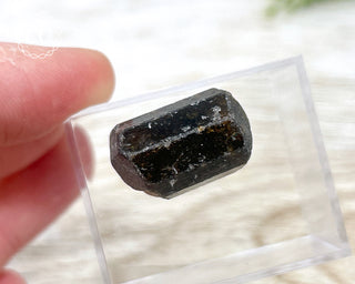 Dravite Tourmaline Crystal #1