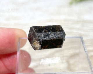 Dravite Tourmaline Crystal #1