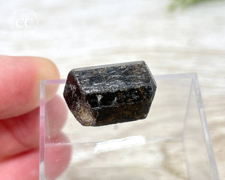 Dravite Tourmaline Crystal #1