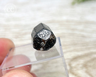 Dravite Tourmaline Crystal #1