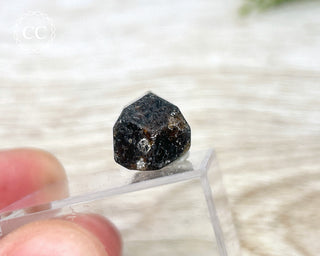 Dravite Tourmaline Crystal #1