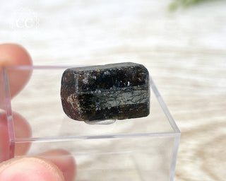 Dravite Tourmaline Crystal #1