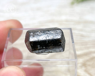Dravite Tourmaline Crystal #1