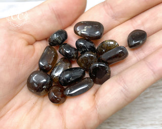 Dravite Tourmaline Small Tumbled Crystal