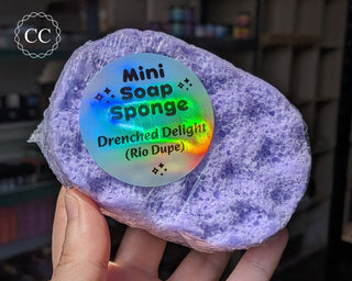 Drenched Delight Soap Sponge