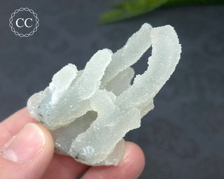 Druzy Chalcedony Stalactite #1