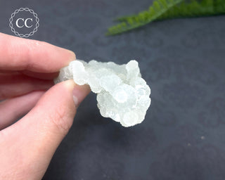 Druzy Chalcedony Stalactite #10