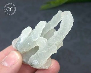 Druzy Chalcedony Stalactite #1