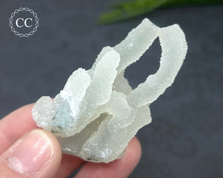 Druzy Chalcedony Stalactite #1