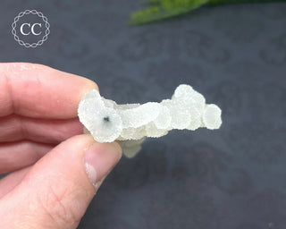 Druzy Chalcedony Stalactite #3