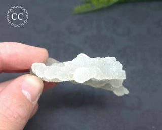 Druzy Chalcedony Stalactite #3