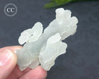 Druzy Chalcedony Stalactite #4