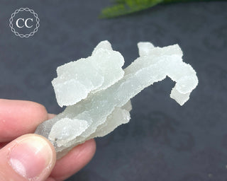 Druzy Chalcedony Stalactite #4