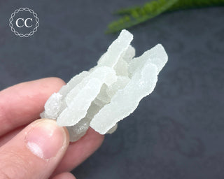 Druzy Chalcedony Stalactite #6