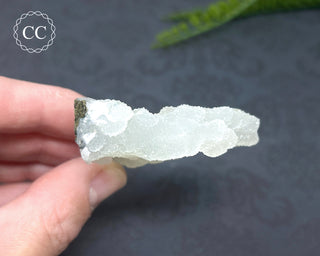 Druzy Chalcedony Stalactite #5