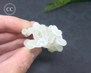 Druzy Chalcedony Stalactite #6