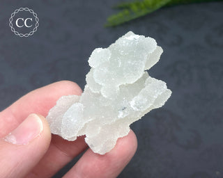 Druzy Chalcedony Stalactite #8