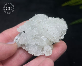 Druzy Chalcedony with Apophyllite #13