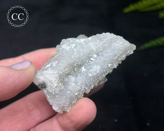 Druzy Chalcedony with Apophyllite #14