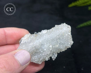 Druzy Chalcedony with Apophyllite #14