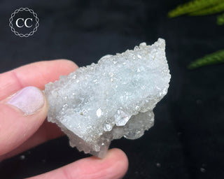 Druzy Chalcedony with Apophyllite #14