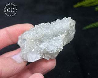 Druzy Chalcedony with Apophyllite #14