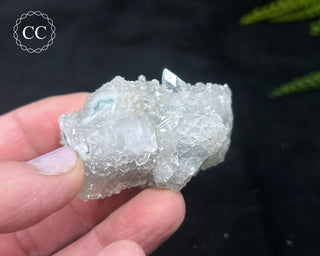 Druzy Chalcedony with Apophyllite #14
