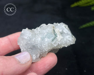 Druzy Chalcedony with Apophyllite #14