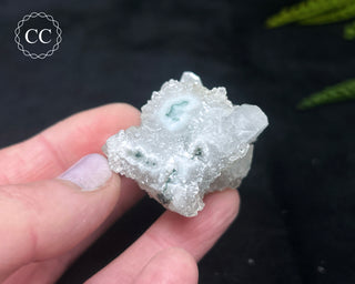 Druzy Chalcedony with Apophyllite #14