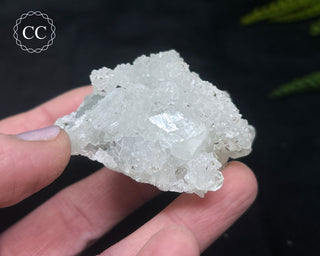 Druzy Chalcedony with Apophyllite #13