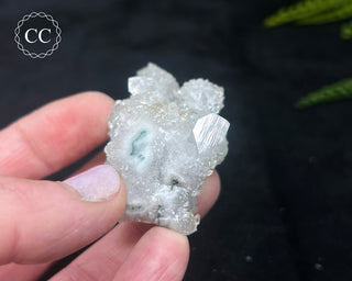 Druzy Chalcedony with Apophyllite #14