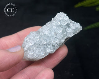 Druzy Chalcedony with Apophyllite #15