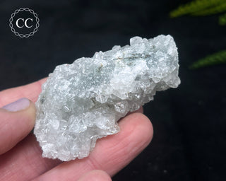 Druzy Chalcedony with Apophyllite #15