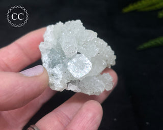 Druzy Chalcedony with Apophyllite #13