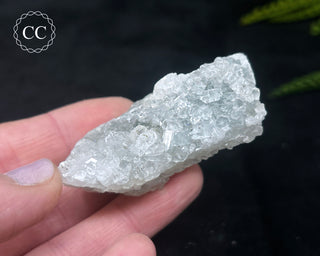 Druzy Chalcedony with Apophyllite #15