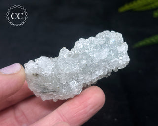 Druzy Chalcedony with Apophyllite #15