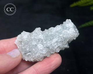 Druzy Chalcedony with Apophyllite #15